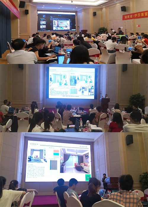 2019小蝌蚪视频黄整体软装设计方案输出培训