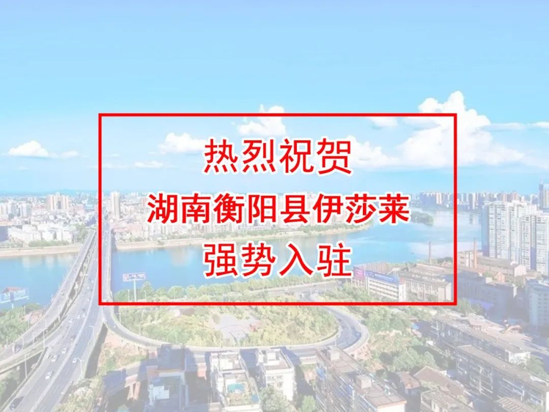 湖南衡阳县小蝌蚪视频黄