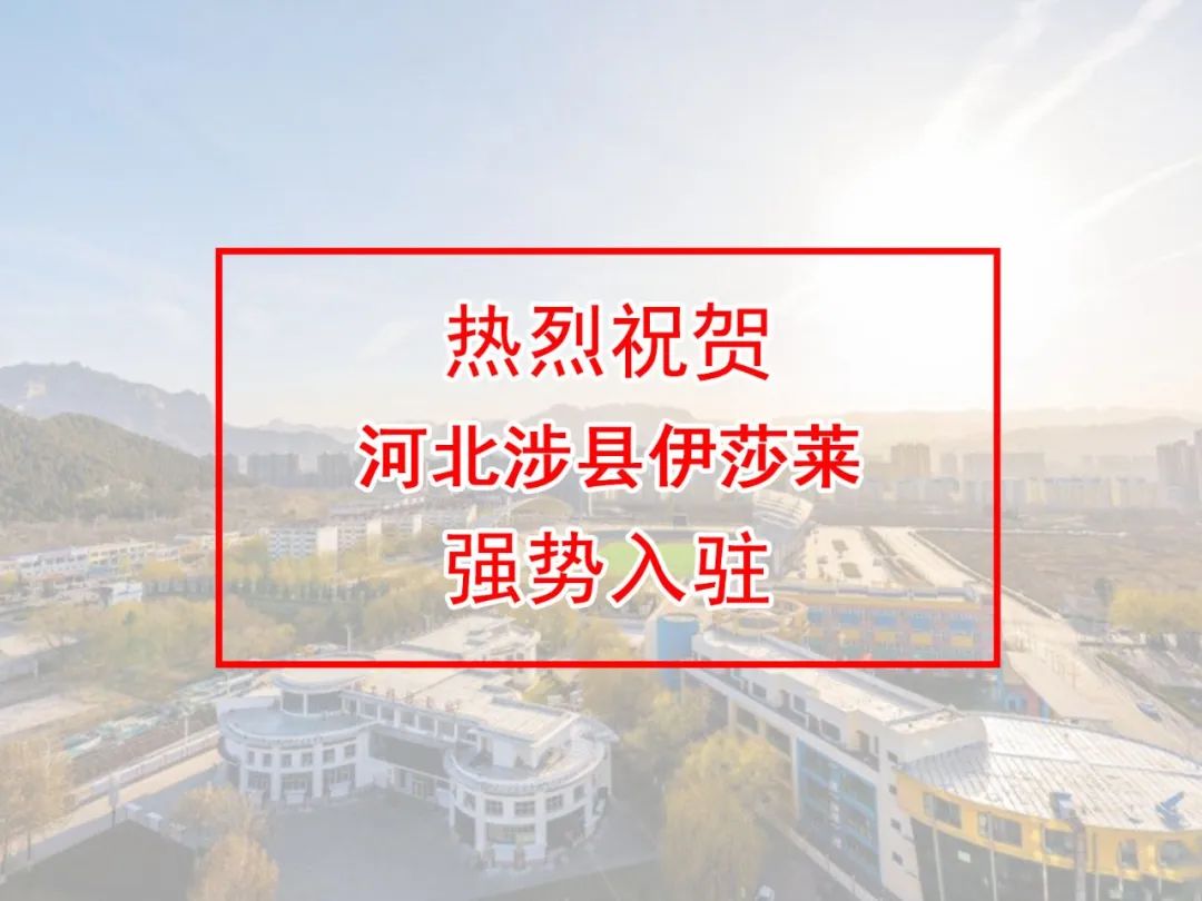 河北邯郸涉县小蝌蚪视频黄