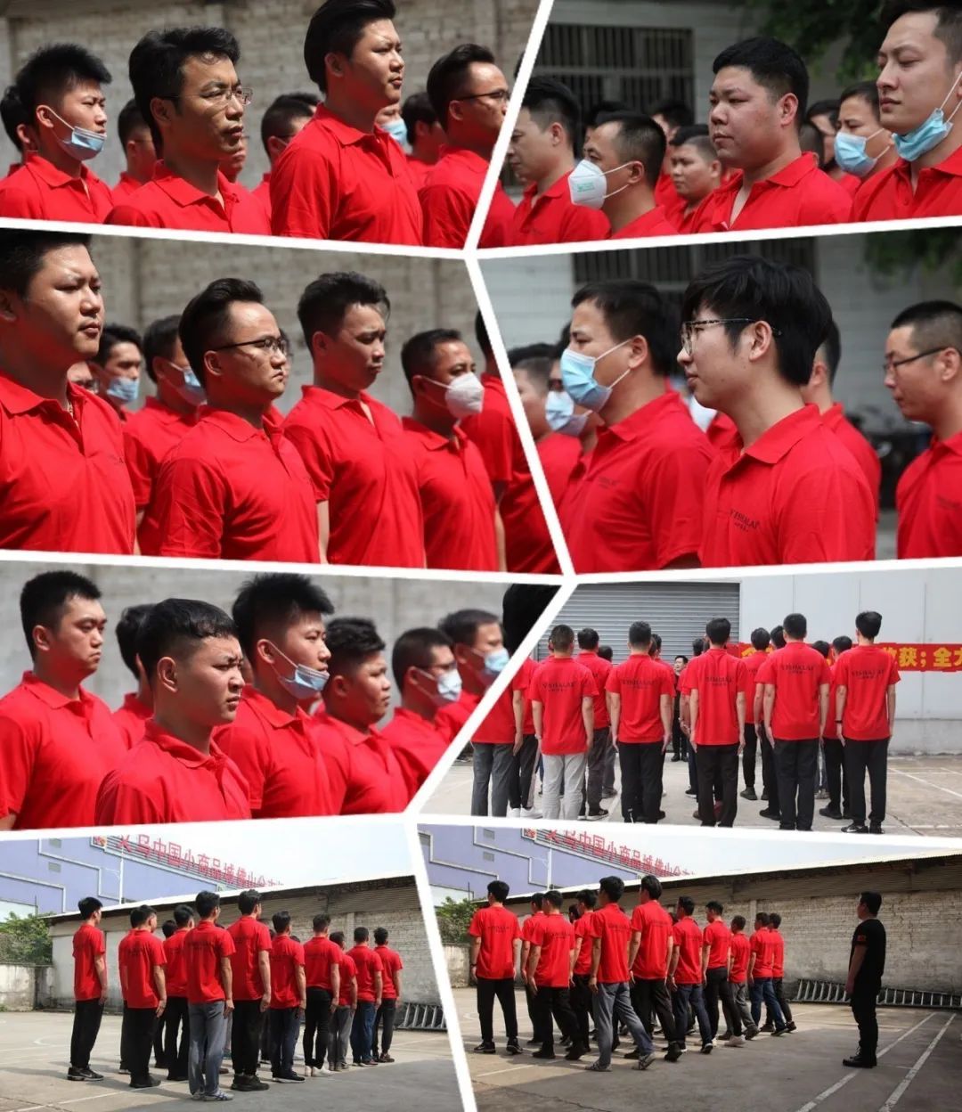 小蝌蚪视频黄公司