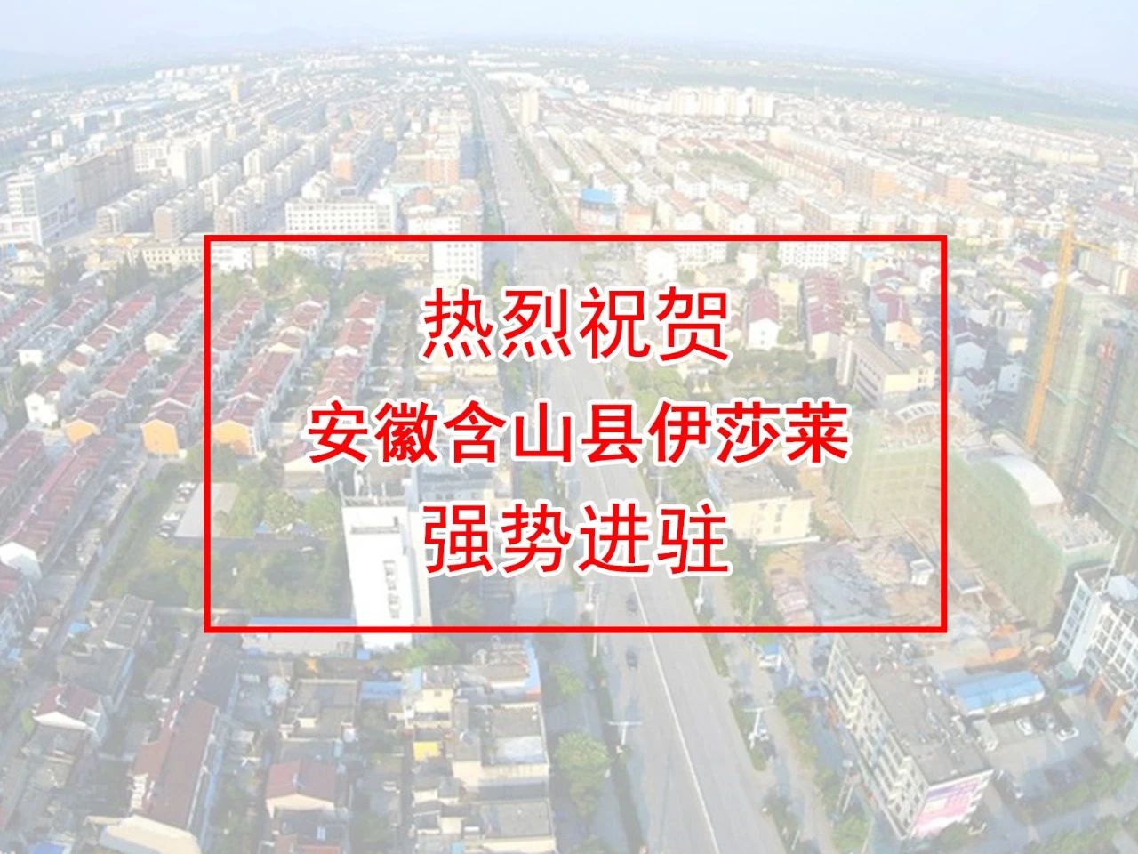 安徽窗帘加盟-安徽含山小蝌蚪视频黄窗帘专卖店